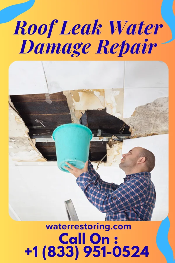 Roof Leak Water Damage Repair in Hannah, ND